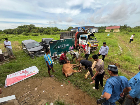Polres Kubu Raya melakukan penyembelihan sapi di Halaman Mapolres Kubu Raya. Foto: Rabiansyah/Hi!Pontianak