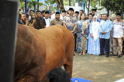 Ketua Umum Partai Demokrat Agus Harimurti Yudhoyono (AHY) menghadiri prosesi pemotongan hewan kurban di DPP Partai Demokrat, Jakarta, Sabtu (7/6/2025). Foto: Iqbal Firdaus/kumparan