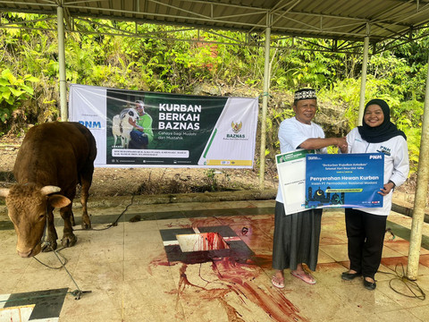 PNM dan BAZNAS menyalurkan hewan kurban untuk masyarakat di wilayah tertinggal, terdepan, dan terluar (3T). Foto: dok. PNM