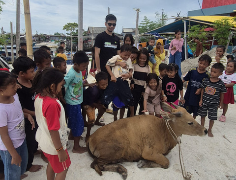 Sapi untuk kurban yang diserahkan Dompet Dhuafa bersama influencer Makassar, Andi Muh Alfandy untuk masyarakat di Pulau Sarappo Caddi, Sulawesi Selatan. Foto: Dok. Dompet Dhuafa
