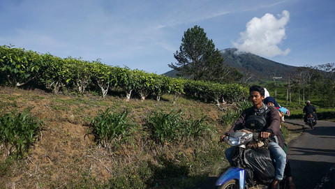 Aktivitas petani di perkebunan teh menjadi salah satu pesona Kota Pagar Alam dengan Gunung Dempo yang sudah menjadi icon tanah besemah itu, Minggu (8/7) Foto: abp/urban id