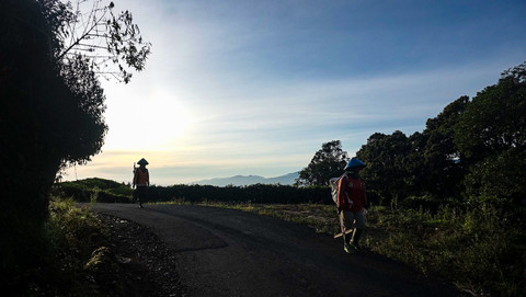 Aktivitas petani yang hendak memetik teh di kebun kerap dijumpai di Kota Pagar Alam yang kerap memancing para pecinta gambar untuk merekam momen tersebut, Minggu (8/7) Foto: abp/urban id