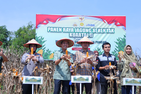 Agenda Panen Raya Jagung Serentak pada 5 Juni 2025/ist.