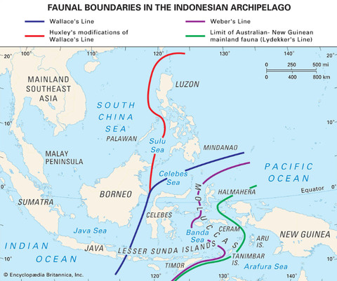 Dok. britannica.com