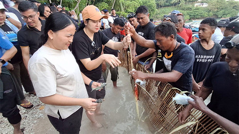 Tradisi Seke Maneke di Kabupaten Kepulauan Sangihe, Sulawesi Utara.