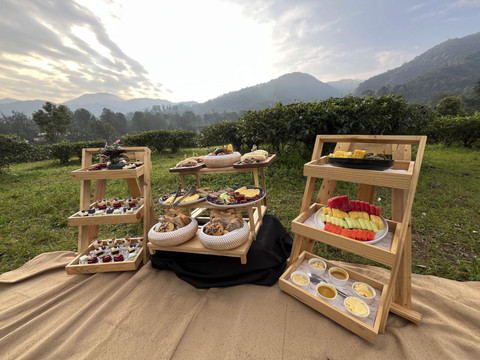 Sarapan di tengah kebun teh, fasilitas menginap di Plataran Puncak. Foto: DN. Mustika Sari/kumparan