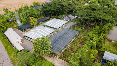  Dok. PT Bukit Asam
