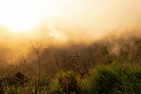 Unsplash/Noah Grossenbacher