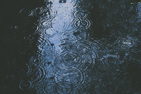 Unsplash/Alex