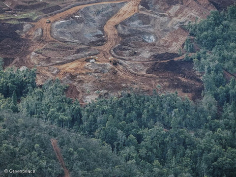 Dok. Greenpeace