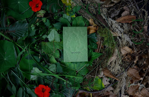 Ilustrasi Profil Irwan Mussry Sumber Unsplash/Ben Mathis Seibel
