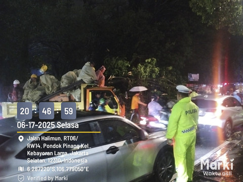 Pohon tumbang menimpa sebuah mobil dan menutupi sebagian jalan di Jl. Kartini Pondok Pinang, Jakarta Selatan, Selasa (17/6/2025). Foto: X/ @TMCPoldaMetro