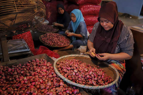 Pekerja sibuk memilah bawang merah di Pasar Induk Kramat Jati, Jakarta, Rabu (18/6/2025). Foto: Jamal Ramadhan/kumparan