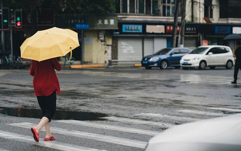  Unsplash/Li Lin