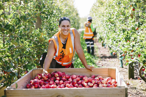 Apel Rockit hadirkan buah dari musim terbaru di 2025. Foto: Dok. Rockit
