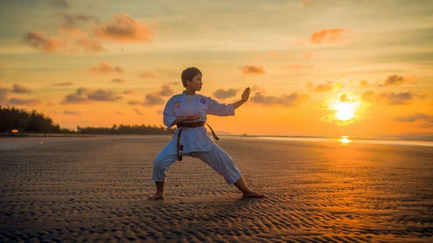Ilustrasi karate.