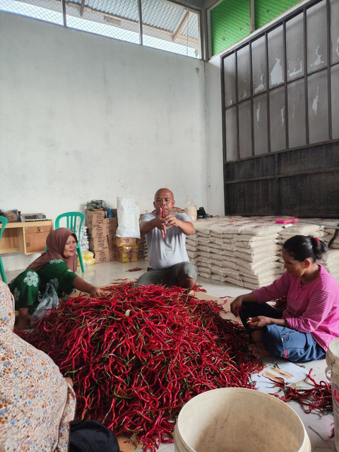 Bahan pangan yang diproduksi Koperasi Produsen Jaring Mas Sejahtera untuk program Makan Bergizi Gratis (MBG) di Kota Pekanbaru dan Kabupaten Kampar, Riau. Foto: Dok. BRI