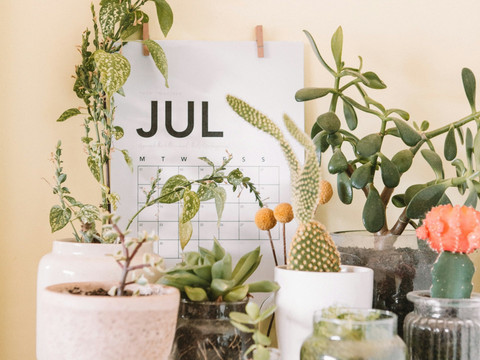  unsplash/maddi bazzocco