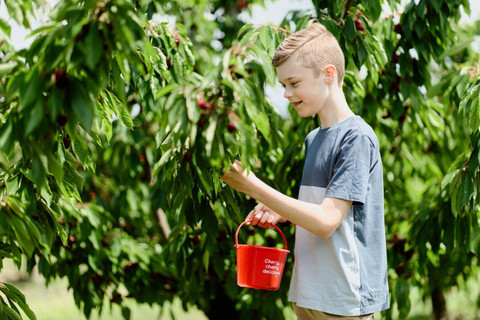 Cherry Hill. Foto: Visit Victoria