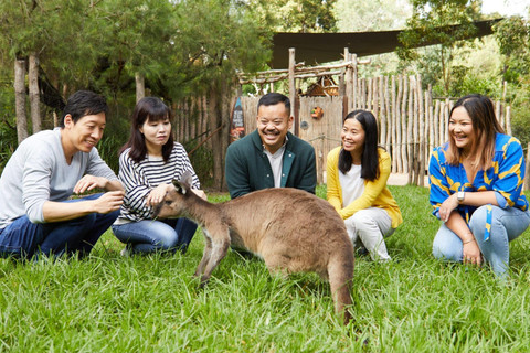 Healesville Sanctuary. Foto: Visit Victoria