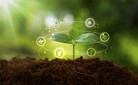 Ilustrasi Ekonomi Hijau. Foto: Shutterstock