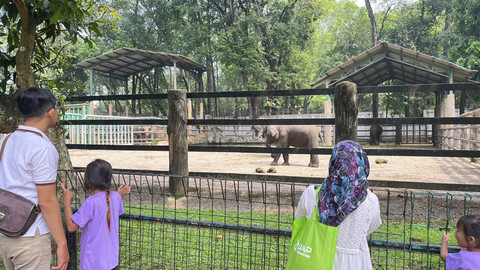 Suasana pengunjung saat long weekend di Taman Margasatwa Ragunan, Jakarta Selatan, Jumat (27/6/2025). Foto: Nasywa Athifah/kumparan