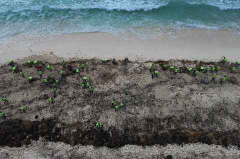Warga bersama para anggota Garda Nasional Meksiko mengikuti kegiatan pembersihan massal pantai dari rumput sargassum di Cancun, Meksiko, Sabtu (28/6/2025). Foto: Paola Chiomante/REUTERS