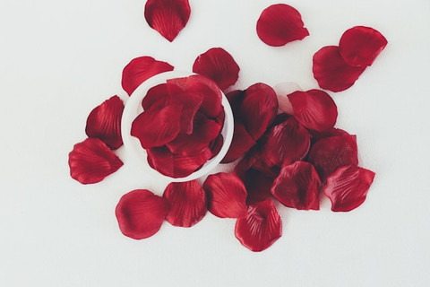 Unsplash/Debby Hudson