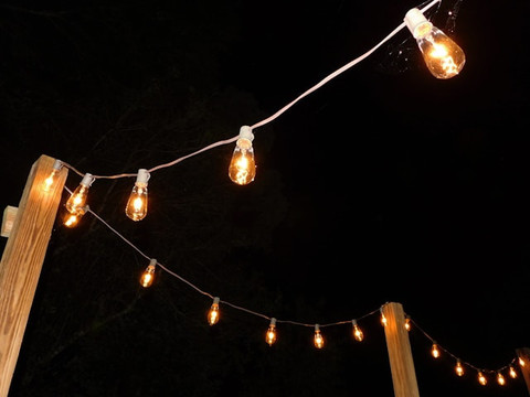  unsplash/chelsey marques
