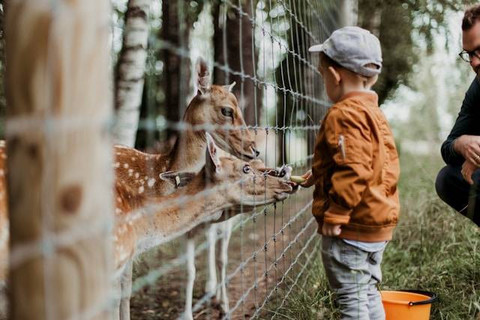 Ilustrasi wisata ramah anak. Unsplash/Daiga Ellaby