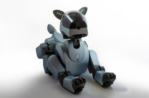 Ilustrasi Harga Robot Polisi di Hari Bhayangkara Sumber Unsplash/Brett Jordan