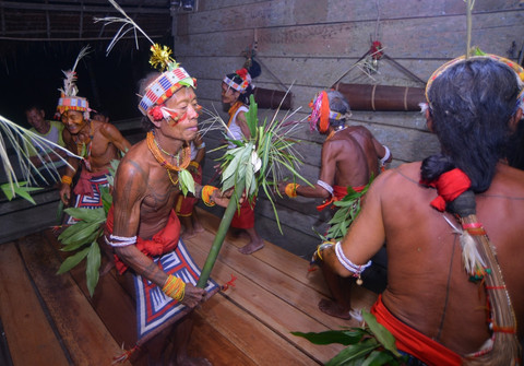 Sejumlah Sikerei (dukun Mentawai) menampilkan aksi tarian tradisional Turuk Laggai di Desa Matotonan, Siberut Selatan, Kepulauan Mentawai, Sumatera Barat, Jumat (4/7/2025).  Foto: Iggoy el Fitra/ANTARA FOTO