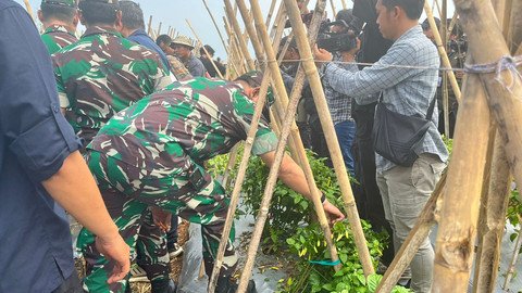Peninjauan lahan hortikultura di Gunung Hejo, Purwakarta, Jawa Barat, Sabtu (5/7/2025). Foto: Nasywa Athifah/kumparan