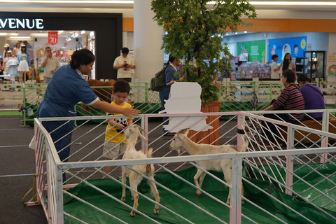 Menghabiskan libur sekolah dengan bermain bersama satwa lucu di Pluit Village. Foto: Dok. Istimewa