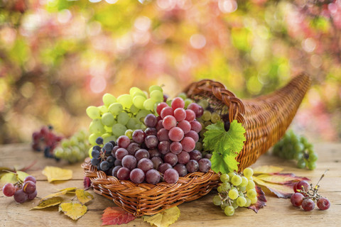 Ilustrasi Anggur. Foto: Shutterstock