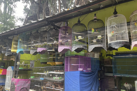 Suasana pasar burung di Jalan Barito, Kebayoran Baru, Jakarta Selatan, Minggu (6/7/2025).  Foto: Fadhil Pramudya/kumparan