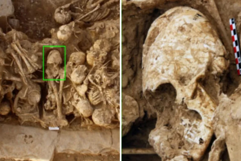International Journal of Osteoarcheology/Mahdi Alirezazadeh/ Hamed Vahdati Nasab
