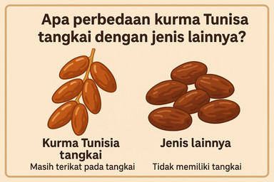 lustrasi Apa perbedaan kurma tunisia tangkai dengan jenis lainnya?