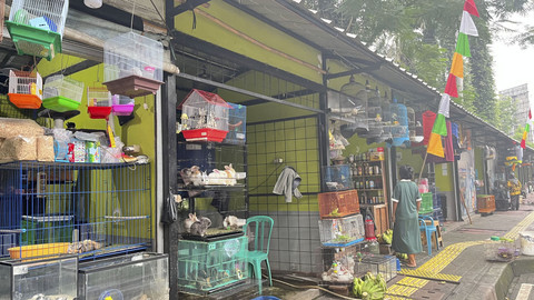Suasana pasar hewan di Jalan Barito, Kebayoran Baru, Jakarta Selatan, Senin (7/7/2025). Foto: Nasywa Athifah/kumparan