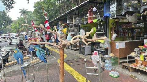 Suasana pasar hewan di Jalan Barito, Kebayoran Baru, Jakarta Selatan, Senin (7/7/2025). Foto: Nasywa Athifah/kumparan