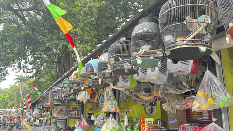 Suasana pasar hewan di Jalan Barito, Kebayoran Baru, Jakarta Selatan, Senin (7/7/2025). Foto: Nasywa Athifah/kumparan