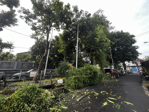 Situasi terkini tiang PJU di Taman Yado, Jakarta Selatan, Selasa (8/7/2025). Foto: Rayyan Farhansyah/kumparan