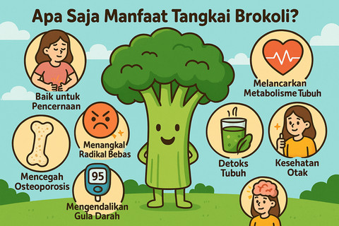 Ilustrasi manfaat tangkai brokoli.