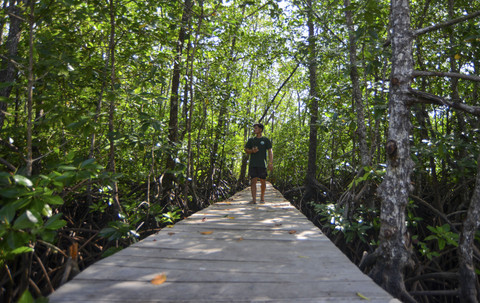 Warga melintas di kawasan mangrove Desa Maileppet, Siberut Selatan, Kepulauan Mentawai, Sumatera Barat, Selasa (8/7/2025). Foto: Iggoy el Fitra/ANTARA FOTO