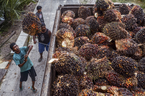 Wahyudi/AFP