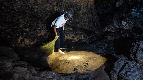 Seorang warga mengumpulkan kotoran kelelawar di dalam situs geologi Gua Petruk, Desa Candirenggo, Kecamatan Ayah, Kebumen, Jawa Tengah, Kamis (10/7/2025). Foto: ANTARA FOTO/Aprillio Akbar