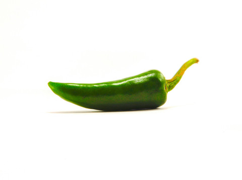 Ilustrasi Ciri Daun Cabe Terkena Tungau, Sumber Unsplash Hari Krishnan
