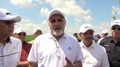 Menteri Pertanian Palestina, Rezq Basheer-Salimia saat meninjau lahan rawa lebak di Desa Simpang Pelabuhan Dalam, Kamis (10/7/2025). Foto : Istimewa Foto : Istimewa