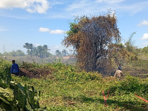 Kebakaran Hutan dan Lahan di Padang Lawas Utara, Sumut, Jumat (11/7) Foto: BPBD Padang Lawas Utara