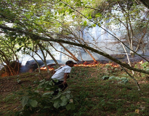 Kebakaran Hutan dan Lahan di Simalungun, Sumut, Jumat (11/7). Foto: BPBD Simalungun